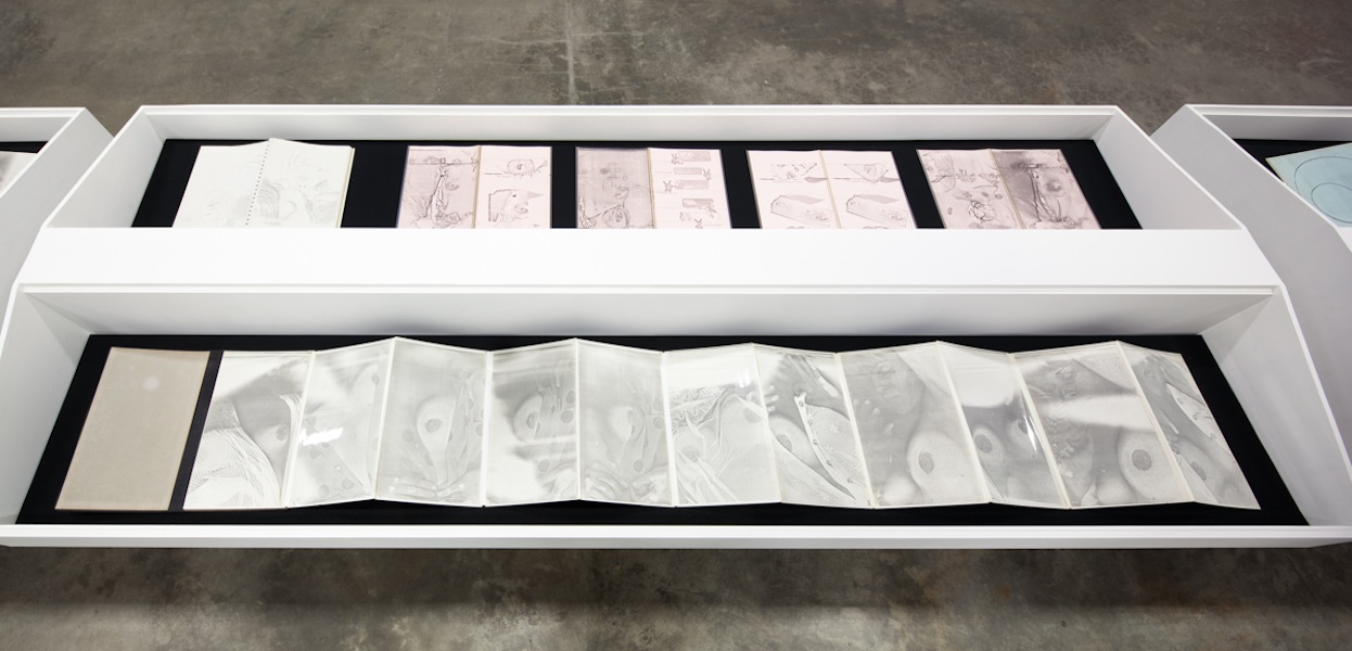 XEROX: Barbara T. Smith 1965-66
Coffins Installation View 
2013
Photo: Fredrik Nilsen