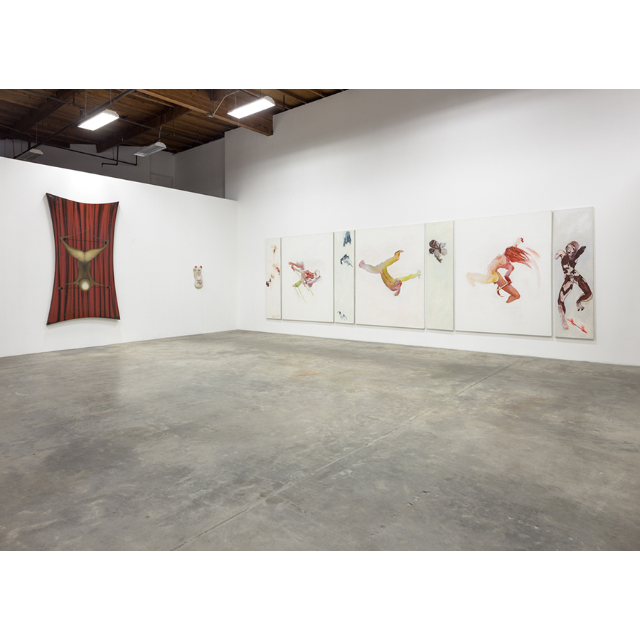 Painters of Modern Life
Curated by Mitchell Algus
Installation View 
2014
Photo: Fredrik Nilsen