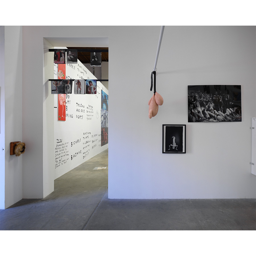 Installation view of