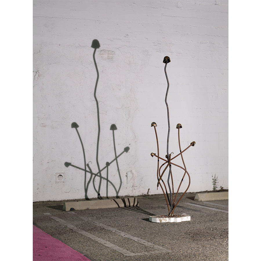 Installation view of