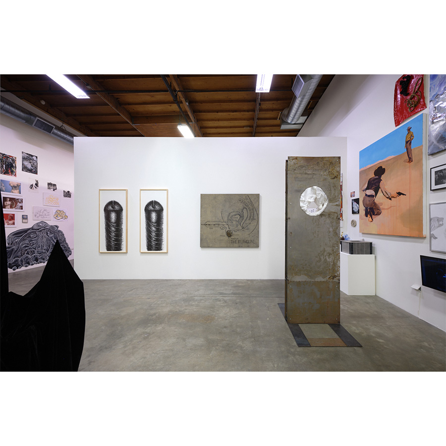Installation view of