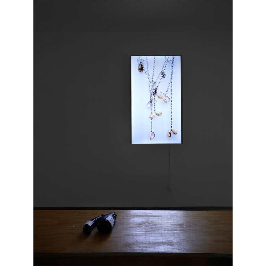 Installation view of