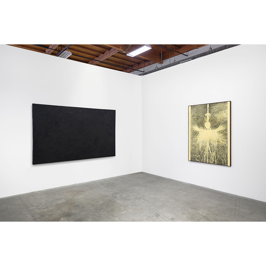 Installation view of Wally Hedrick: SEX POLITICS RELIGION at The Box LA, 2026. Photo: Paul Salveson. 